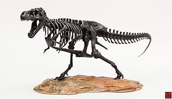 TREX フィギュア Amazon | 1/72 ティラノサウルス Tレックス T-REX 恐竜 骨格